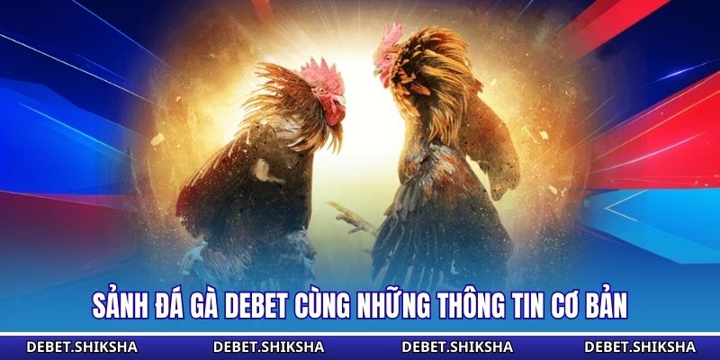 Sảnh Đá gà Debet cùng những thông tin cơ bản